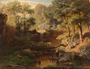 Paisaje de bosque con un arroyo