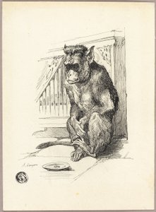 Mono mendigo de Auguste Andre Lancon