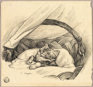 Gato dormido en una cesta