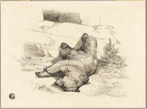 Oso ruso