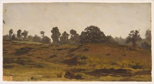 Vista de un campo, principios de 1850 de Auguste Francois Bonheur