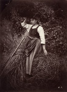 Campesino