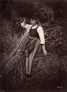 Campesino
