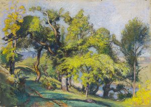 Castaños sobre un río de Auguste Lepere