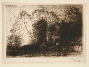 ¿La casa de Campo? Rousseau (Vend?e) (Cabaña en Rousseau [Vendée]) de Auguste Lepere