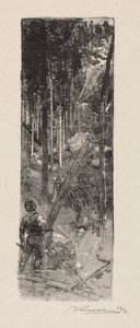 Tala de pinos, 1887