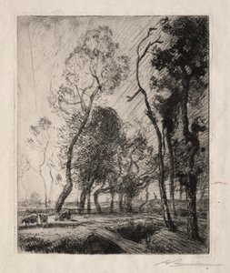 Puesta de sol detrás de los árboles de Auguste Louis Lepère