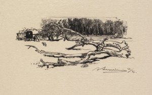 Bosque de Fontainebleau: Carrefour de l