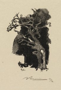 Bosque de Fontainebleau: El furioso