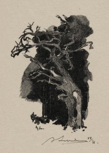 El Furioso de Auguste Louis Lepère