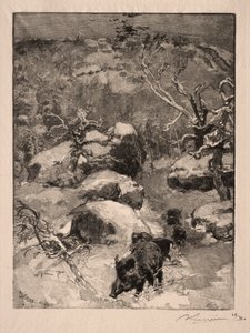 Roche Cuvier Chatillon, 1887 de Auguste Louis Lepère