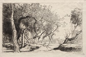 El árbol torcido de Auguste Louis Lepère