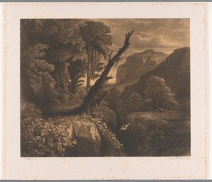 Paisaje de montaña con un pájaro volando por un barranco
Dix eaux-fortes par A. Numans (título de la serie)
Rostros de Auguste Numans según otros artistas (título de la serie) de Auguste Numans