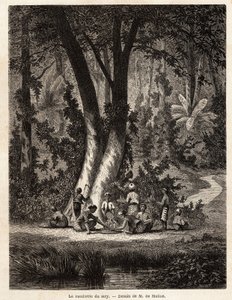 La recolección de Siri, o betel, cuya hoja recubierta de cal es esencial para la producción de Chic local. Dibujo de M. de Molins, para ilustrar su viaje a Java