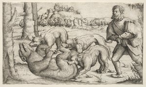  de Augustin Hirschvogel