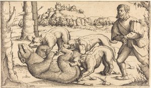Caza de osos