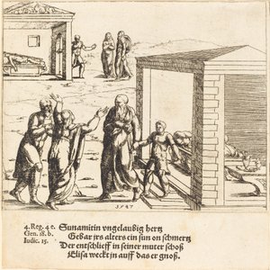 Eliseo resucita al hijo de la sunamita de Augustin Hirschvogel
