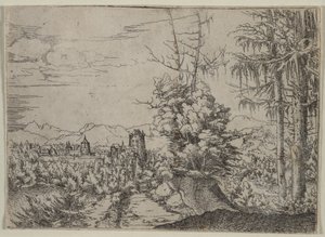  de Augustin Hirschvogel