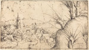 Paisaje con una ciudad a la izquierda de Augustin Hirschvogel