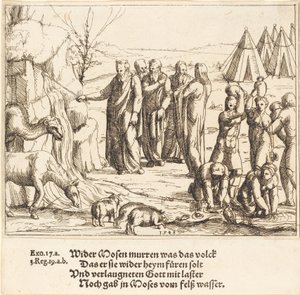 Moisés golpeando la roca de Augustin Hirschvogel