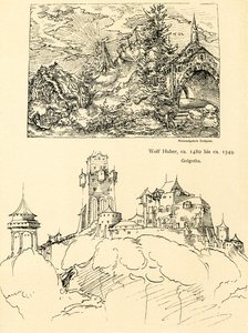 Estudio de la naturaleza de Augustin Hirschvogel