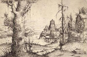 Paisaje fluvial con un árbol robusto de Augustin Hirschvogel