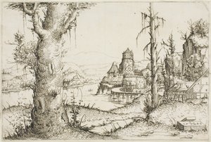 Paisaje fluvial con gran árbol en primer plano de Augustin Hirschvogel