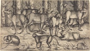 Ciervos en el bosque de Augustin Hirschvogel