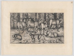 Ciervos en el Bosque, 1545 de Augustin Hirschvogel
