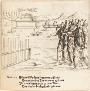 El Florecimiento de la Vara de Aarón de Augustin Hirschvogel