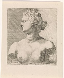 Busto de Venus de 
