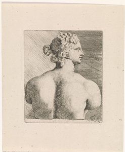 Busto de Venus de 