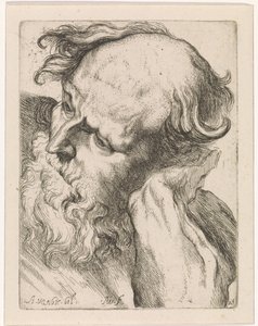 Cabeza de anciano (José) Estudios para un libro de dibujo a partir de esculturas y figuras clásicas de Anthony van Dyck (título de la serie) de Augustinus Terwesten (I)