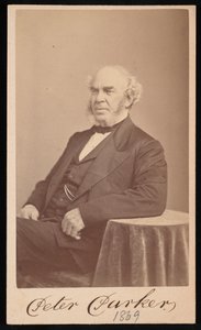 Retrato de Peter Parker 1804-1888, 1869 de Augustus Marshall