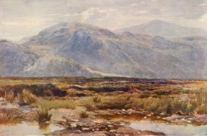Cader Idris (litografía en color) de Augustus Watford Weedon
