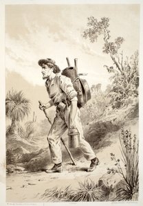 Buscador en el Camino, de La Historia de Australasia por David Blair, McGrady, Thomson y Niven, 1879