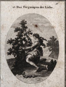 Alegoría de la satisfacción amorosa representada por un adolescente gracioso arrodillado frente a un corazón en medio de un rosal florecido cuyas rosas y espinas son alusivas a las penas y dulzuras del amor. El amante llora para embellecer lo que ama, lo c