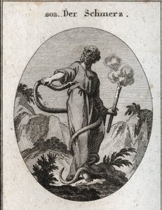 Alegoría del dolor. Una serpiente monstruosa rodea a quien, después de atar sus pies, sube por su cuerpo e intenta morder su corazón. Ella sostiene una antorcha que aún humea, lo que significa que el abatimiento inducido por el dolor apaga el fuego del alm de Austrian School