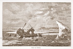 Lucha con morsa, 1876