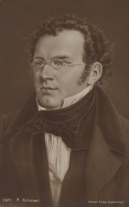 Retrato de Franz Schubert