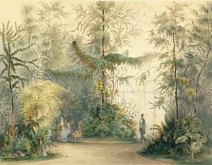 El Jardín de Invierno del Palacio de Hofburg, Viena, 1852 de Austrian School
