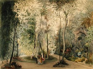 El jardín de invierno del Palacio Hofburg, Viena, 1852 de Austrian School