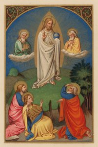 Transfiguratio D N J Chr (chromolitho) de Austrian School