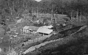Fazenda de Criação Campos do Jordão, 1895 de Axel Frick
