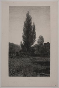 Danés: Sommeraften