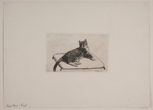 Danés: Recumbent cat de Axel Hou