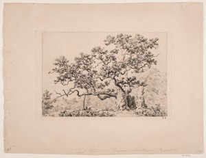 Kongeegen de Axel Schovelin