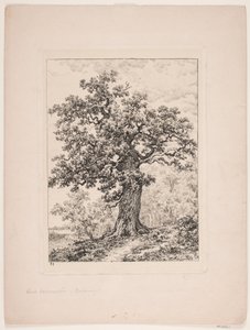 El roble de Niels Ebbesen. Bosque de Gyllingnæs de Axel Schovelin
