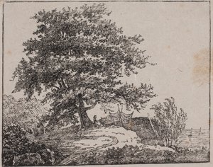 Árbol en una pendiente junto al mar de Axel Theodor Kittendorff