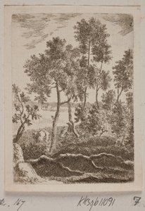 Escena de bosque de B. Flügge